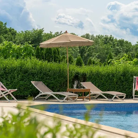 Azur Properties ap51 Apartment